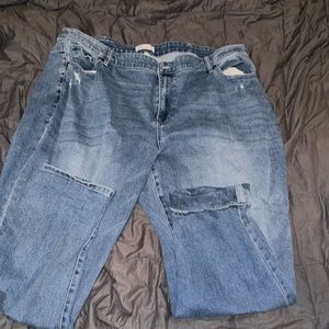 Lane Bryant Jeans Never been Worn